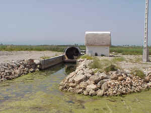 Ebro Delta: eutrophication
