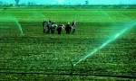 Irrigation in the Ebro delta: are farmers abusing cheap water?