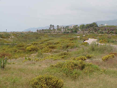 Gava Dunes Recuperation Scheme, August 2001
