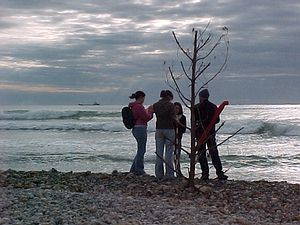 Sitges coastal processes study