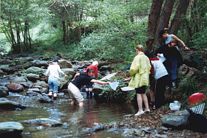 Montseny Natural Park, October 2001