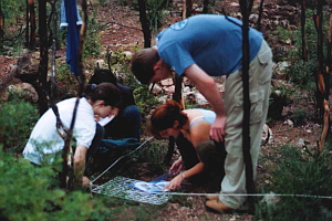 Garraf Natural Park, October 2001