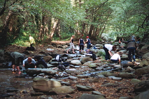 Montseny Natural Park, October 2001