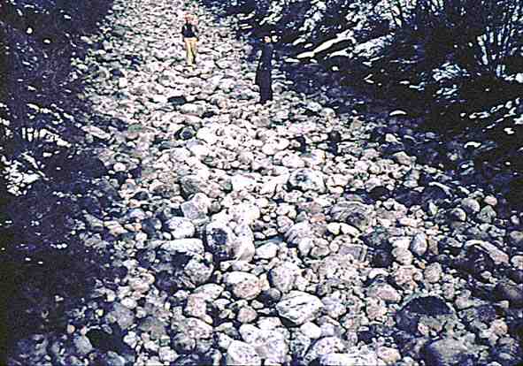 Downstream from above section 1, Rock Creek Canal near Darby, Montana