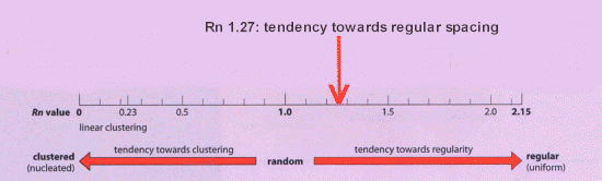 interpretation of the nearest neighbour Rn value