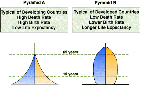 Typical Pyramids