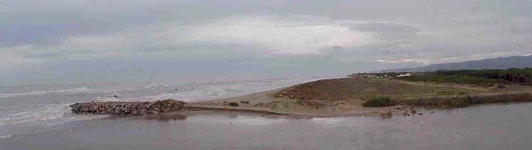 Sand Dunes at the Llobregat Delta in Winter
