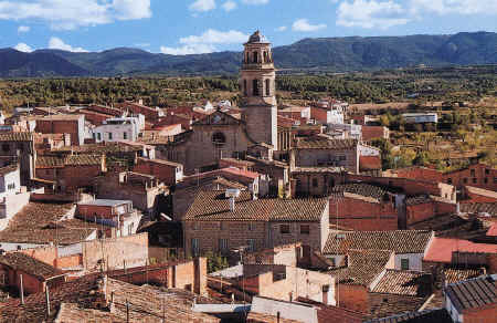 L'Albi, Les Garrigues