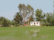 Ebro Delta rice paddies