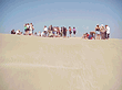 Ebro Delta dunes